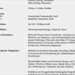 Lebenslauf Vorlage Openoffice Ohne Foto Wunderbar 10 Lebenslauf Ohne Foto