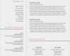 Lebenslauf Vorlage Pages Cool Professional Resume Template