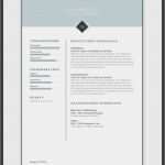 Lebenslauf Vorlage Pages Fabelhaft Die 25 Besten Ideen Zu Bewerbungsvorlagen Muster Auf