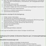 Lebenslauf Vorlage Pages Genial Muster Handgeschriebener Lebenslauf Design Muster