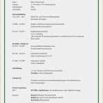 Lebenslauf Vorlage Pdf Kostenlos Bewundernswert 11 Muster Lebenslauf Pdf Vorlagen123 Vorlagen123