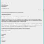 Lebenslauf Vorlage Praktikum Schüler Beste Lebenslauf Vorlage Praktikum Schüler Elegante 7 Bewerbung