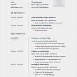 Lebenslauf Vorlage Schriftlich Einzigartig Lebenslauf Muster Für Finanzberater