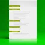 Lebenslauf Vorlage Schriftlich Elegant Lebenslauf Vorlage Design Für Word Und Open Fice