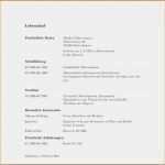 Lebenslauf Vorlage Schriftlich Schönste 10 Lebenslauf Fuhrerschein Vorlagen123 Vorlagen123