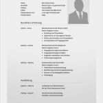 Lebenslauf Vorlage Schüler Word Download Cool Lebenslauf Muster 7 Klassische Bewerbungsvorlage Word