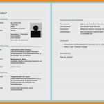 Lebenslauf Vorlage Schüler Word Download Wunderbar 8 Lebenslauf Vorlage Word