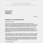 Lebenslauf Vorlage Stepstone Angenehm Bewerbung Als Modedesigner Modedesignerin Bewerbung