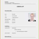 Lebenslauf Vorlage Student Inspiration Einzigartiges Lebenslauf Student Muster