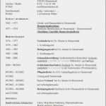 Lebenslauf Vorlage Tabellarisch Elegant Tabellarischer Lebenslauf Inhalt Dokument Blogs