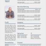 Lebenslauf Vorlage Tabelle Elegant Lebenslauf Chronologisch Flexible Arbeitstätigkeit