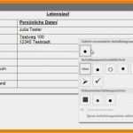 Lebenslauf Vorlage Tabelle Hübsch 8 Lebenslauf Tabelle