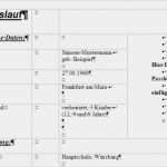 Lebenslauf Vorlage Tabelle Hübsch Lebenslauf Muster