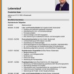 Lebenslauf Vorlage Tabelle Schön 8 Chronologischer Lebenslauf