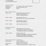 Lebenslauf Vorlage Tabelle Süß Kurz Cv Vorlage Lebenslauf Beispiel