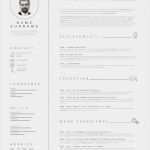 Lebenslauf Vorlage Text Erstaunlich Minimalistische Lebenslauf Lebenslauf Vorlage Mit Schöner