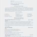 Lebenslauf Vorlage Trackid Sp 006 Erstaunlich 14 Cv Trackid=sp 006