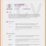 Lebenslauf Vorlage Trackid Sp 006 Erstaunlich 15 Curriculum Vitae Trackid=sp 006