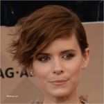 Lebenslauf Vorlage Trackid Sp 006 Inspiration 53 Neu Fotos Von Couch Trackid Sp 006