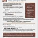 Lebenslauf Vorlage Word 2007 Best Of 54 Einzigartig Bilder Lebenslauf Design Vorlage Word