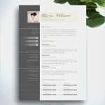 Lebenslauf Vorlage Word 2007 Bewundernswert 54 Einzigartig Bilder Lebenslauf Design Vorlage Word