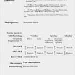 Lebenslauf Vorlage Word 2007 Erstaunlich Charmant Diplom Word Vorlage Galerie Beispiel