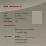 Lebenslauf Vorlage Word 2007 Inspiration 52 Best Images About Lebenslauf Muster & Vorlagen On Pinterest