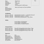 Lebenslauf Vorlage Word 2007 Schönste ordnerrücken Vorlage Word 2016 Hübsch Lebenslauf Vorlage