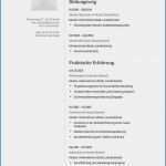 Lebenslauf Vorlage Word Ausbildung Erstaunlich Frisch Lebenslauf Muster Für Ausbildung Bewerbung Ildung