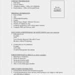 Lebenslauf Vorlage Word Datei Wunderbar 17 Lebenslauf Muster Word