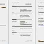 Lebenslauf Vorlage Word Dokument Beste Lebenslauf Muster Kostenlos Muster Beispiel Gratis