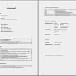 Lebenslauf Vorlage Word Dokument Cool Lebenslauf Muster Word Dokument