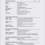 Lebenslauf Vorlage Word Dokument Großartig Lebenslauf Muster Word Dokument