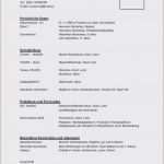 Lebenslauf Vorlage Word Dokument Hübsch Lebenslauf Muster Word Dokument