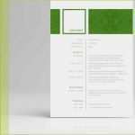 Lebenslauf Vorlage Word Download Gut Motivationsschreiben Muster Mit Lebenslauf & Anschreiben