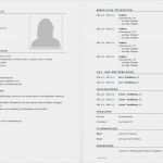 Lebenslauf Vorlage Word Download Schönste Lebenslauf Vorlage Tabellarischer Lebenslauf – Vorlage