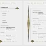 Lebenslauf Vorlage Word Download Süß Lebenslauf Muster Vorlage Tabellarischer Lebenslauf