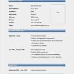 Lebenslauf Vorlage Word Gratis Elegant Lebenslauf Word Vorlage Youtube Lebenslauf Vorlagen In