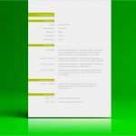 Lebenslauf Vorlage Word Online Elegant Lebenslauf Vorlage Word & Open Fice Zum Herunterladen