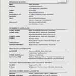 Lebenslauf Vorlage Word Schüler Inspiration Lebenslauf Schüler Vorlage Word Elegant 6 Tabellarischer