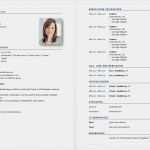 Lebenslauf Vorlage Word Schüler Schön 17 Tabellarischer Lebenslauf Vorlage Kostenlos