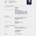 Lebenslauf Vorlage Xing Login Fabelhaft Muster Lebenslauf 2018 Meinebewerbung