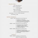 Lebenslauf Vorlage Xing Login Genial Lebenslauf Muster Vii Meinebewerbung