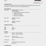 Lebenslauf Vorlage Xing Login Inspiration Lebenslauf Beispiel Chronologisch Cv &amp; Bewerbung