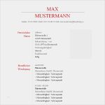Lebenslauf Vorlage Xing Login Neu Muster 29 Bewerbung