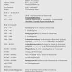 Lebenslauf Vorlage Zum Ausfüllen Cool 17 Tabellarischer Lebenslauf Vorlage Zum Ausfüllen