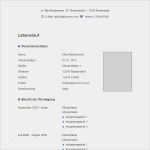 Lebenslauf Vorlage Zum Ausfüllen Erstaunlich Vorlage Grau Blau Tabellarischer Lebenslauf