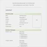 Lebenslauf Vorlage Zum Ausfüllen Herunterladen Erstaunlich Vorlage 45 Tabellarischer Lebenslauf