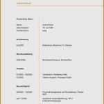 Lebenslauf Vorlage Zum Ausfüllen Inspiration Lebenslauf Vorlage Pdf Kostenlos Großartig Vordruck