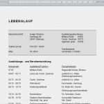 Lebenslauf Vorlage Zum Bearbeiten Angenehm Lebenslauf Vorlagen Muster Und Beispiele